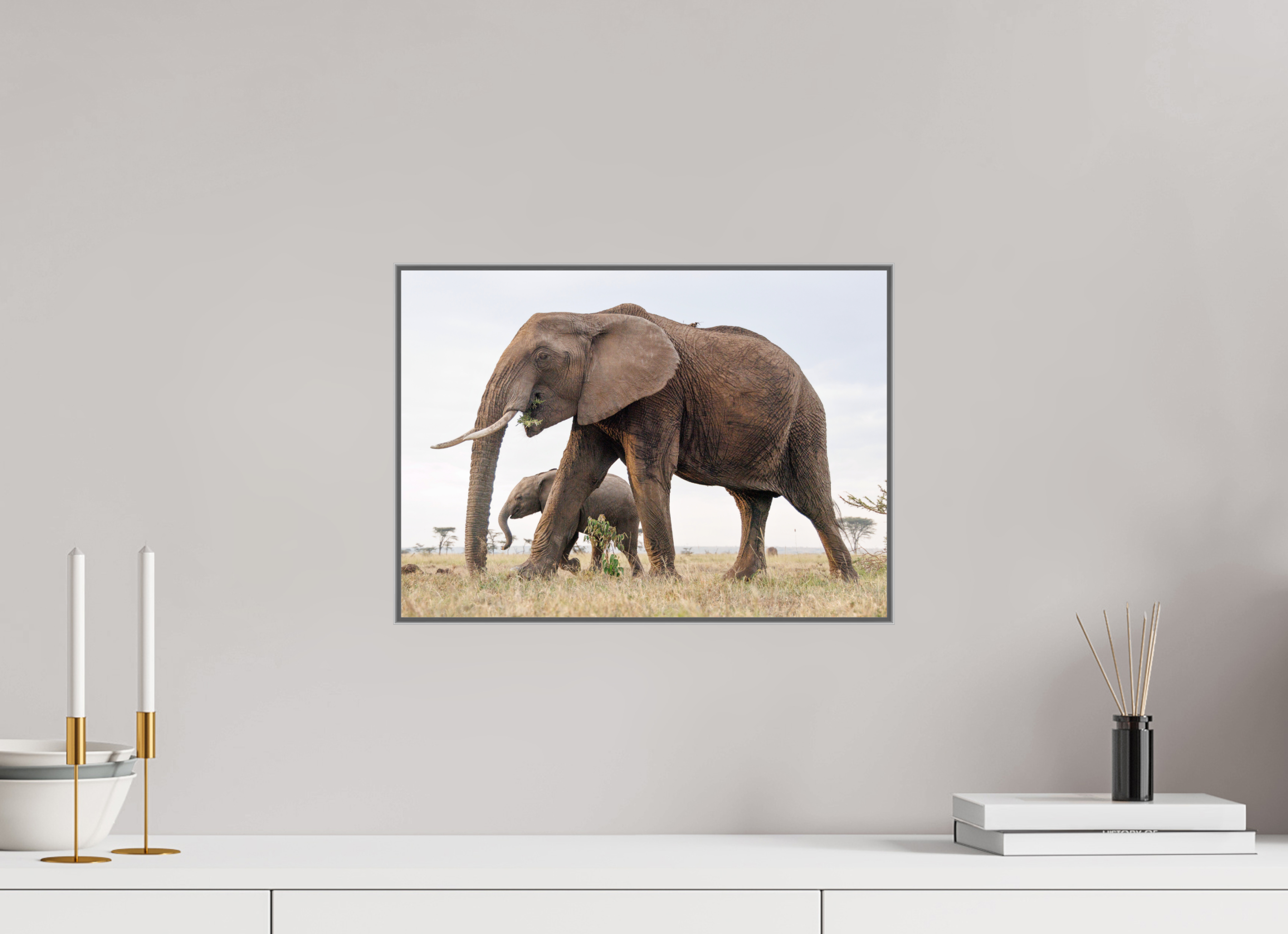 42 x 30 cm, Framed in Aluminium Art Box printed on Fuji Crystal Glossy paper w-out border Elephant and Baby III