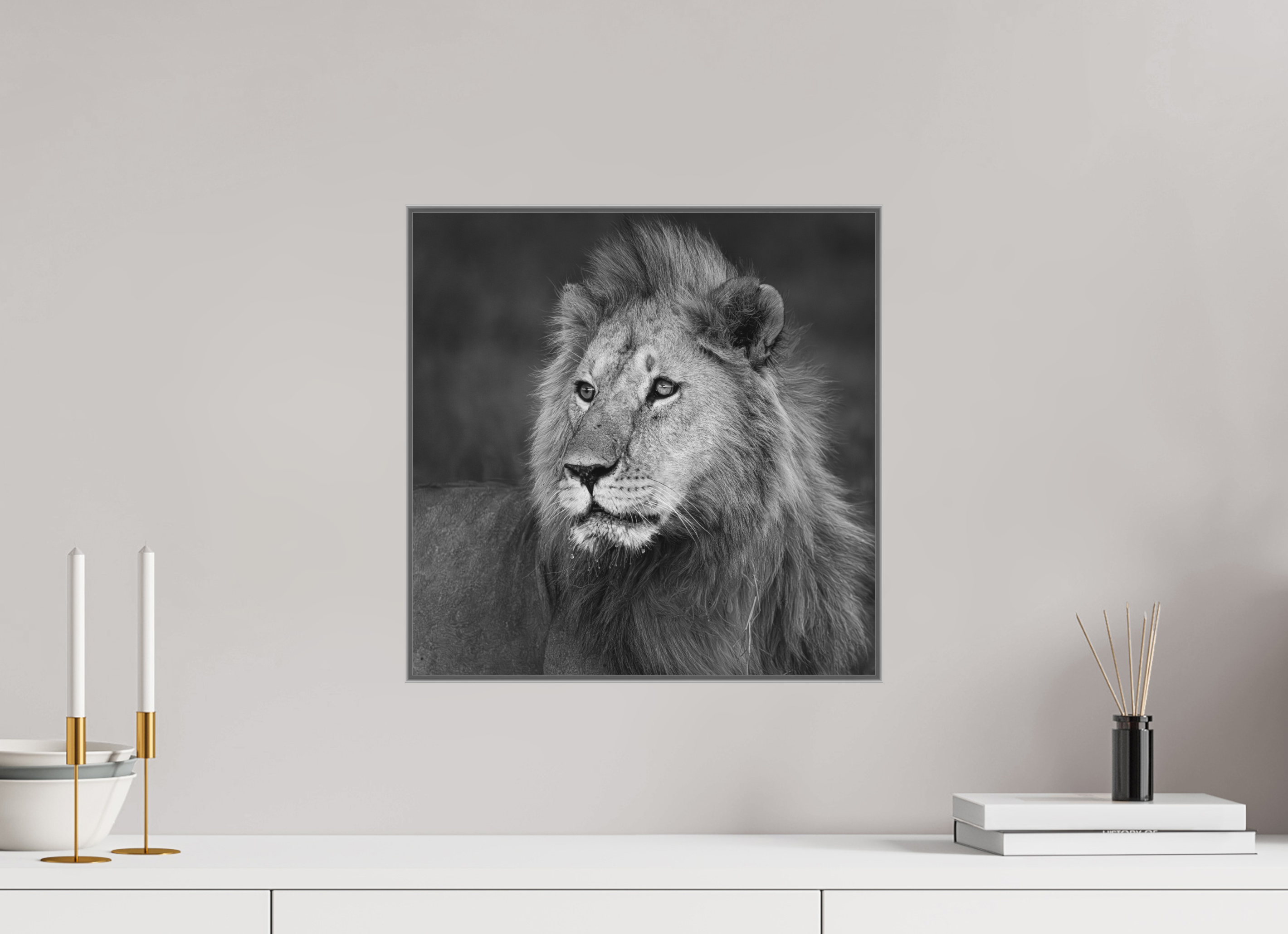 40 x 40 cm, Framed in Aluminium Art Box Printed on Ilford BW Photo Print under Acrylic Glass - w-out border Rudi