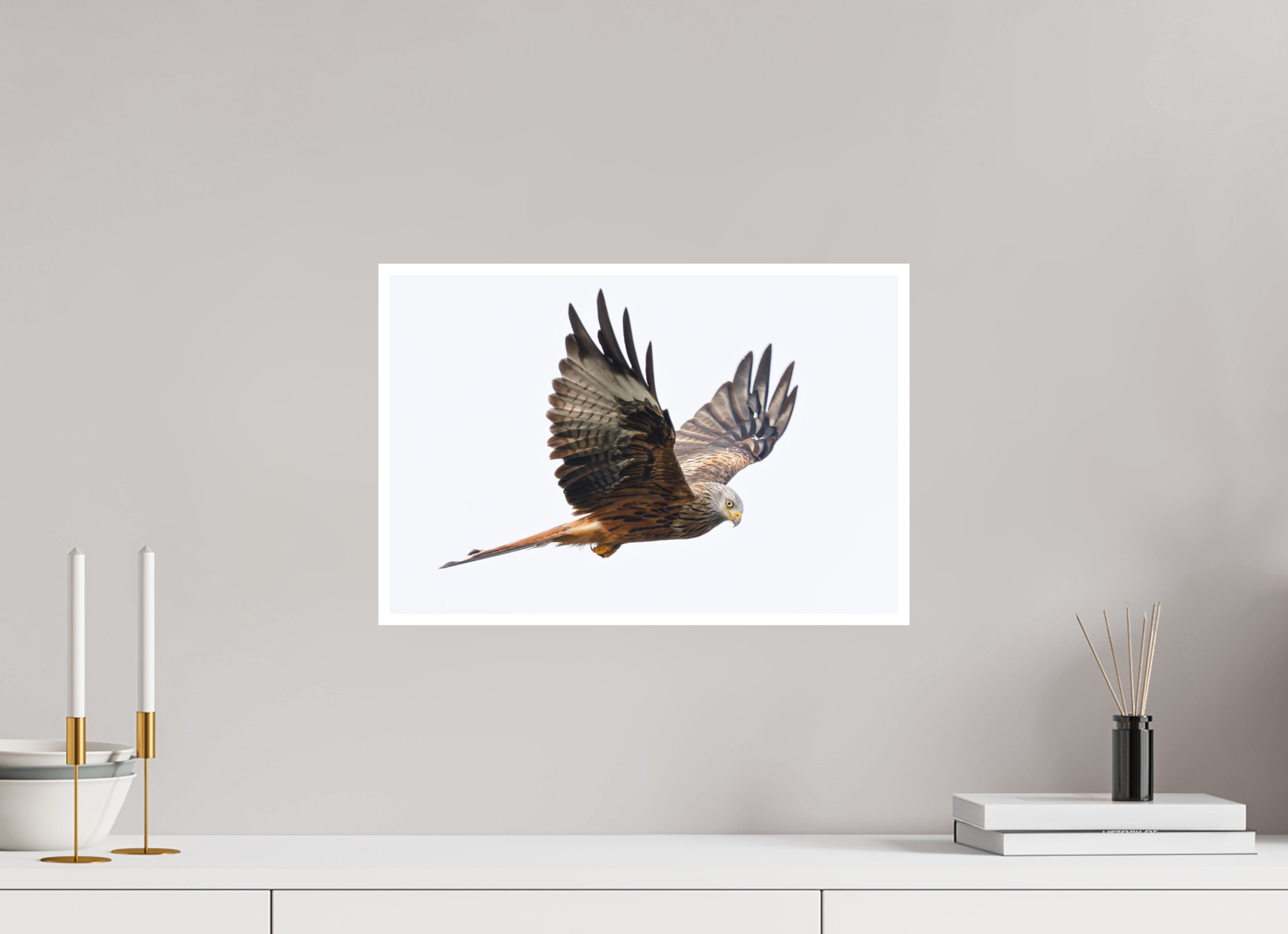 45 x 30 cm, Unframed Fine Art Giclée print on Hahnemühle Photo Rag paper with 1cm border Red Kite II