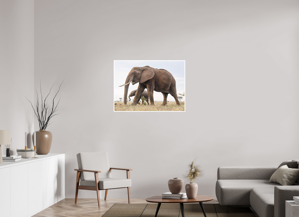 98 x 70 cm, Unframed Fine Art Giclée print on Hahnemühle Photo Rag paper with 1cm border Elephant and Baby III - Colour