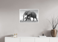 70 x 50 cm, Unframed Fine Art Giclée print on Hahnemühle Photo Rag paper with 1cm border Elephant and Baby III