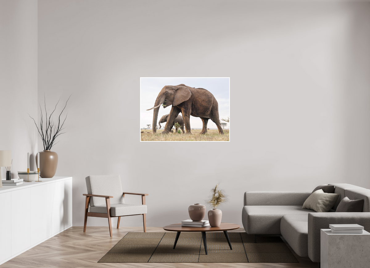 126 x 90 cm, Unframed Fine Art Giclée print on Hahnemühle Photo Rag paper with 1cm border Elephant and Baby III - Colour