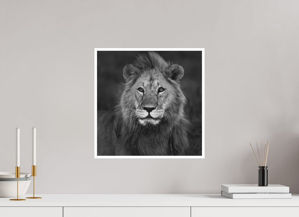 40 x 40 cm, Unframed Fine Art Giclée print on Hahnemühle Photo Rag paper with 1cm border Rudi III