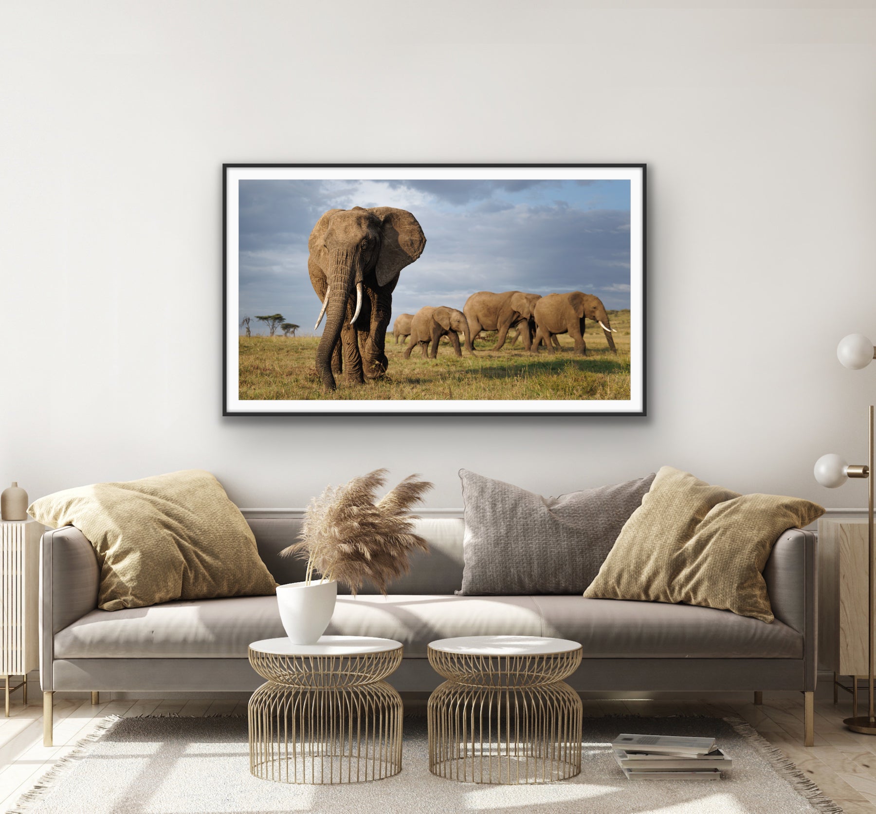 Elephant and Family