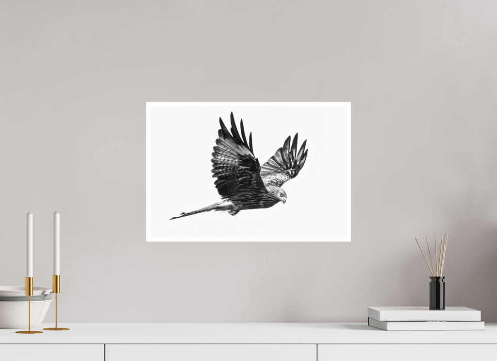 45 x 30 cm, Unframed Fine Art Giclée print on Hahnemühle Photo Rag paper with 1cm border Red Kite I