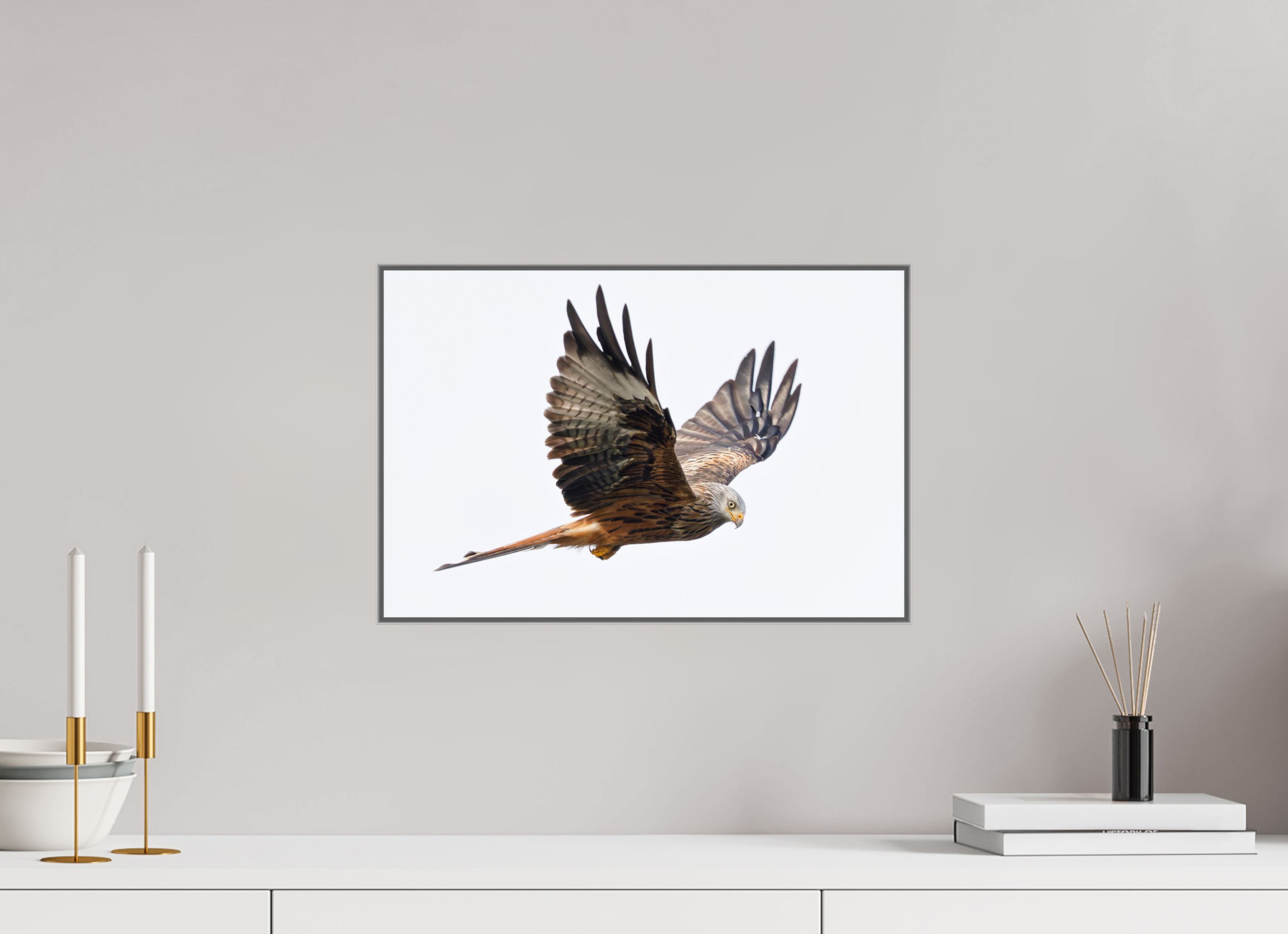 45 x 30 cm, Framed in Aluminium Art Box printed on Fuji Crystal Glossy paper w-out border Red Kite II