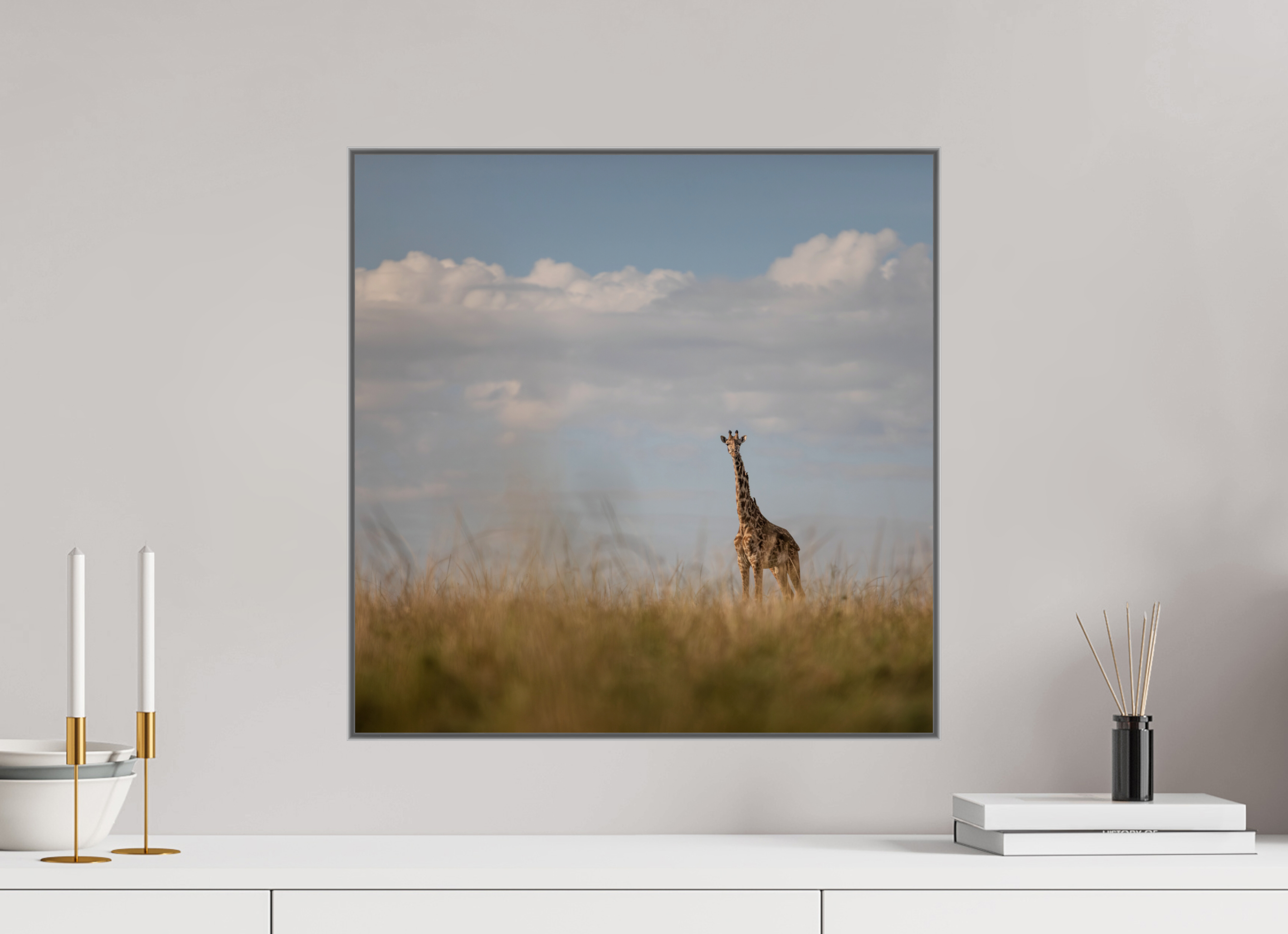 50 x 50 cm, Framed in Aluminium Art Box printed on Fuji Crystal Glossy paper w-out border Giraffe I