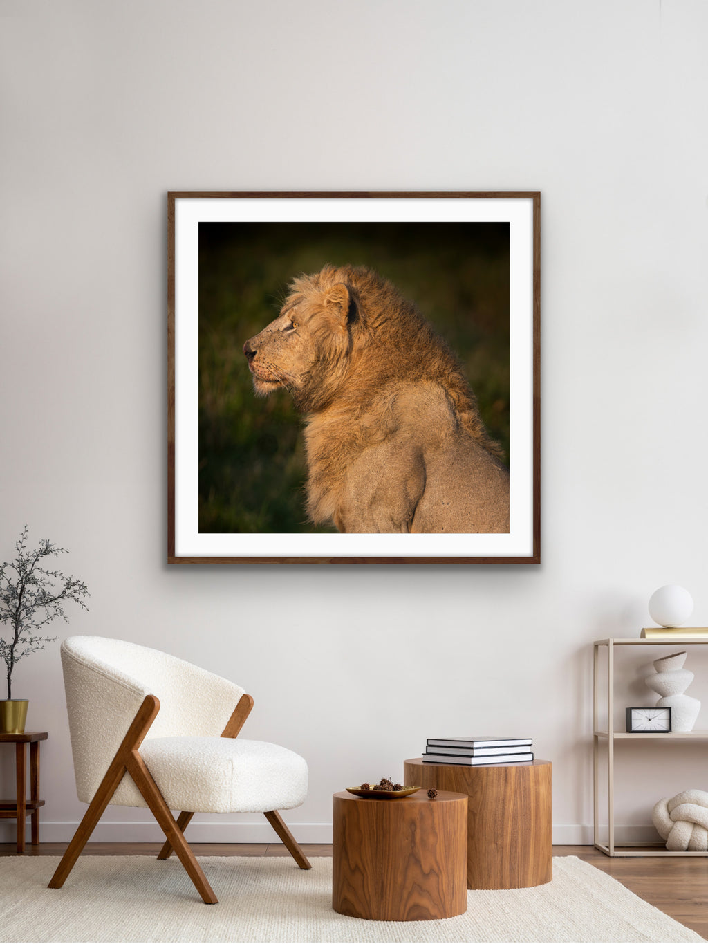 Heavy is the Crown: Lion portrait